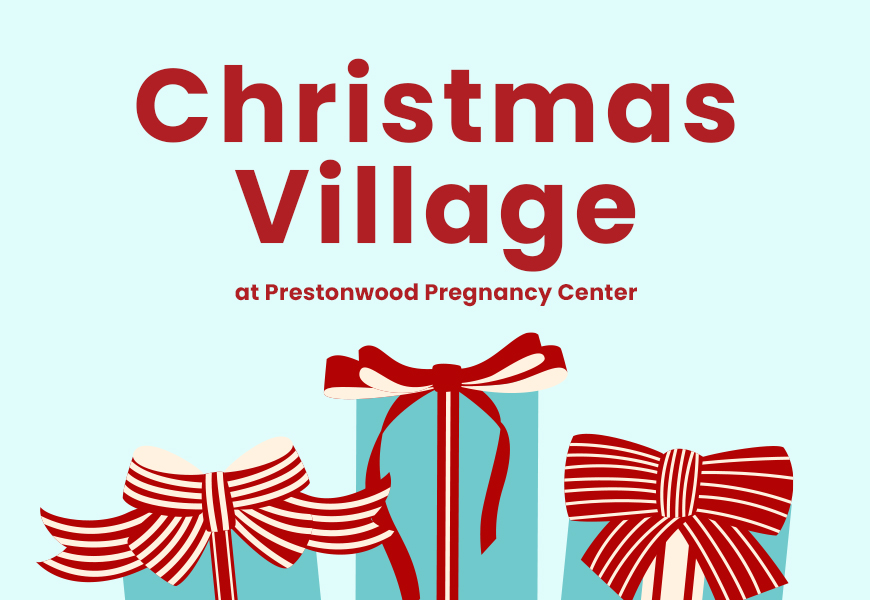 Christmas Village 2025 Feature