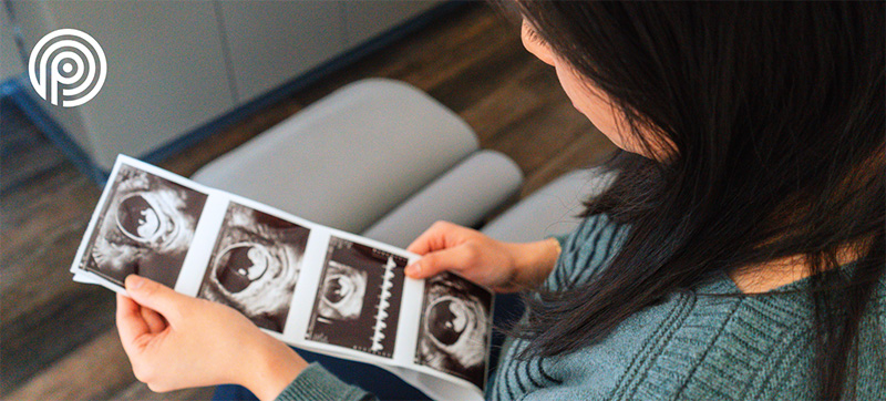 PBC Website Images - 1