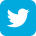 Twitter Icon